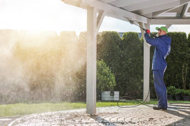 Best Gutter Cleaning and Brightening in Newport, NC