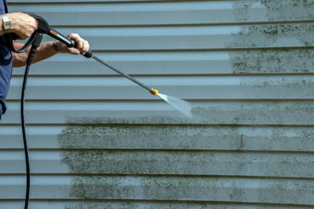 Best Vinyl Siding Pressure Washing in Newport, NC
